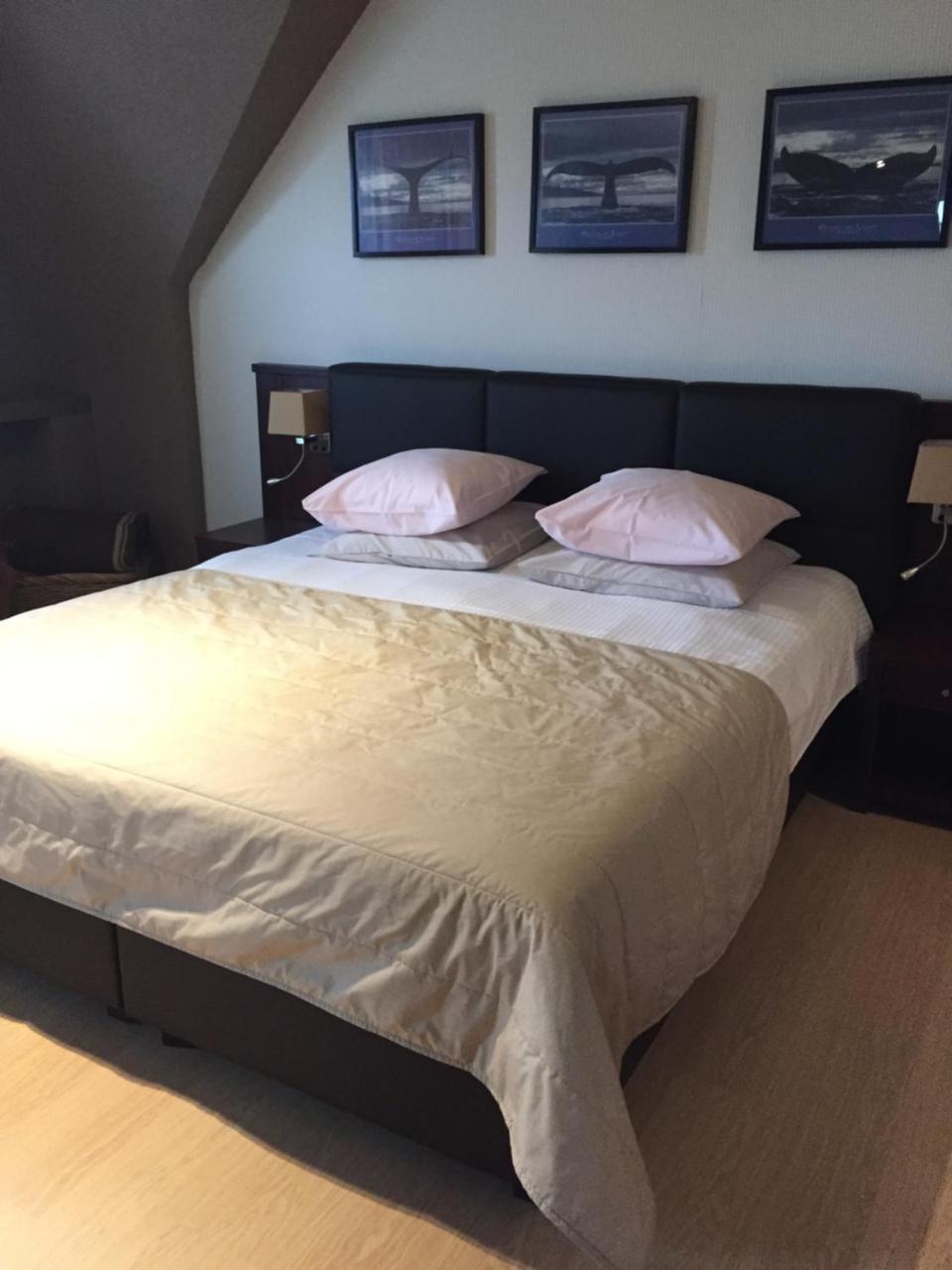 Hotel Prelude Knesselare Zewnętrze zdjęcie
