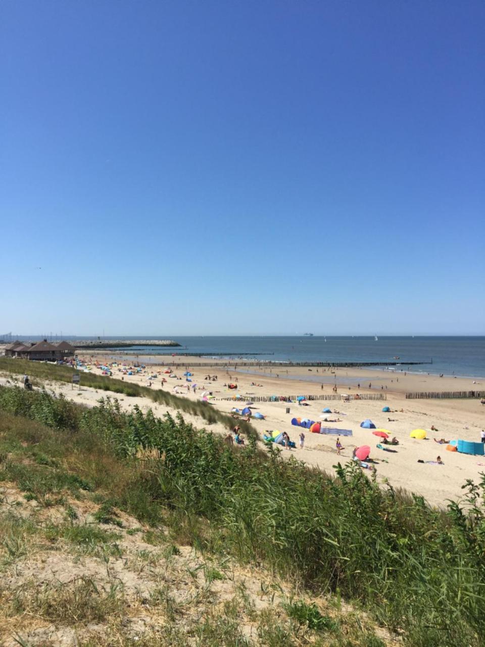 Hotel Prelude Knesselare Zewnętrze zdjęcie